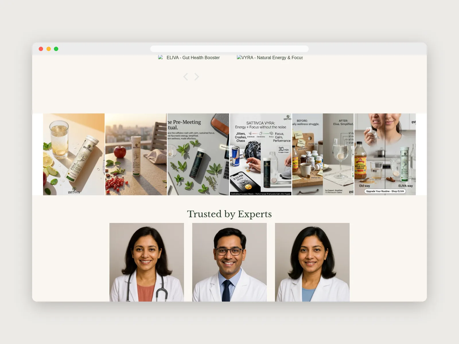 Sattvica: “Trusted by experts” panel